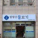 발왕산 물꼬기