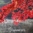 우화정 - 경산시 | 우화정