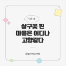 살구꽃핀마을은 이미지