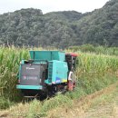 청송비디오 이미지