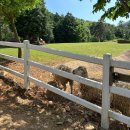 별바위목장 이미지