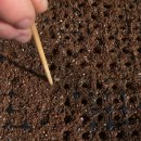 조종농약사 이미지