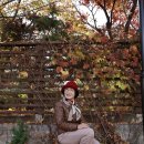 25.11.12(수) 단풍명소 정독도서관 /백인제가옥/서순라길/종묘 포토 트레킹/찰라운영위원님 이미지