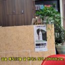 유미주 헤어
