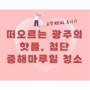 이마트24 광주첨단모아점 | 광주입주청소 ㅣ 신혼부부가 직접 남겨주신 첨단 중해마루힐 입주청소 리얼 후기 ♥