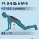 남천토즈의원