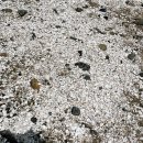 민어도 | 민어도 스노클링 후기