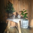 101.이담초교후문_1 | [후문카페]어린이대공원카페, 아차산역카페~도심에서 느끼는 분이기 좋은 테라스 카페~~