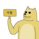 한베투어 | w:) 라도무스 신규홀 [아모리움, 루미니스] - 26년 예신이 바라본 찐 후기 ++ 팔레드오페라