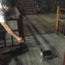 농어바위펜션 이미지