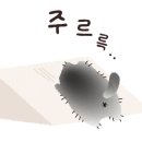 누가 복지용구 이미지