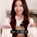 애완동물러브유