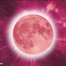 블러드문 | 블러드문 무의식 정화 세션 후기