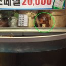 수조 이미지