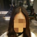 헤어(HAIR)1380