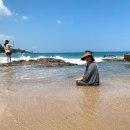 그리던바다 이미지