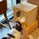 햇살가득동물병원 이미지