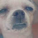 부영분식 이미지