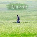 ♣4/25(화)선운산 수리봉과 학원농장 청보리밭 이미지