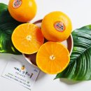 승환농장 이미지