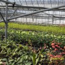 송평농장 이미지