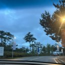 더헤븐 | 더헤븐cc 라운딩 후기 코스 난이도부터 근처 식사까지