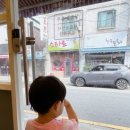 자미당 송죽점