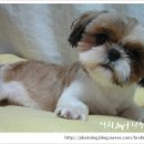 여아농장 이미지