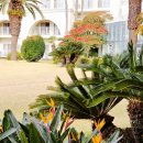 대명세탁소 | 서귀포 숙소 추천 소노캄 제주 정원 산책! 제주 힐링 여행의 완성