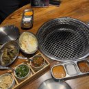 연탄에 빠진 닭