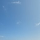 무녀2구마을버스 이미지