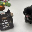 퍼피루미 | 리틀포우 리얼 오븐베이크 에어드라이 고단백 강아지 사료 솔직 후기