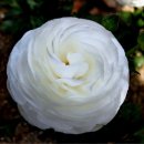 좋은친구 이미지