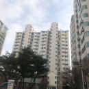 공립도평어린이집 네이버블로그