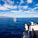 기청농장 이미지