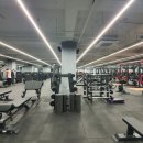 김현진153GYM 이미지