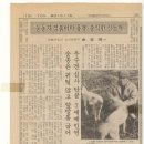 마리중학교 이미지