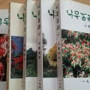 일지사 이미지
