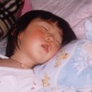 박애어린이집 이미지