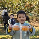 비룡농장 이미지