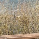 은파유치원 이미지