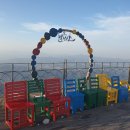 발왕산 관광케이블카 코스 | 발왕산케이블카(용평)/스카이워크 둘러보기/애견동반가능(2.21방문)