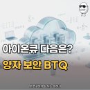 양자관련주 하드웨어 아이온큐 다음은 양자 보안 인프라 관련주 BTQ