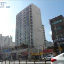 아산나부빌 이미지