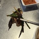 생고기가 | [울산/남창] 생고기가 맛있는집 <제주 돈육돈>방문 후기/메뉴/서이추 환영