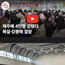 "돈은 돈대로 쓰고…내일 출근 못해 미안합니다" 4만명 한숨 이미지