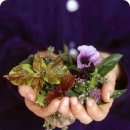 이렇게 좋은날 이미지