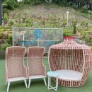 소나무카페(소나무관광농원) 이미지