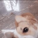 토르PC방 이미지