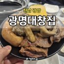 강남병원 | 광양 중동 대창 맛집 광명대창집 광양중동점 방문 후기 (지인과 저녁 한잔)